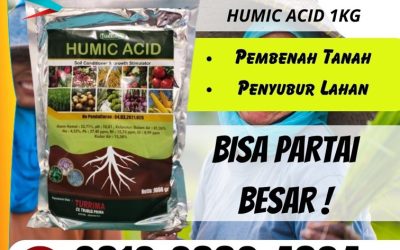 TERLARIS! 0812-2882-4834, Agen Asam Humat Untuk Bawang Merah Gresik, Harga Asam Humat Untuk Cabe Jember, Grosir Asam Humat Untuk Jagung Jombang