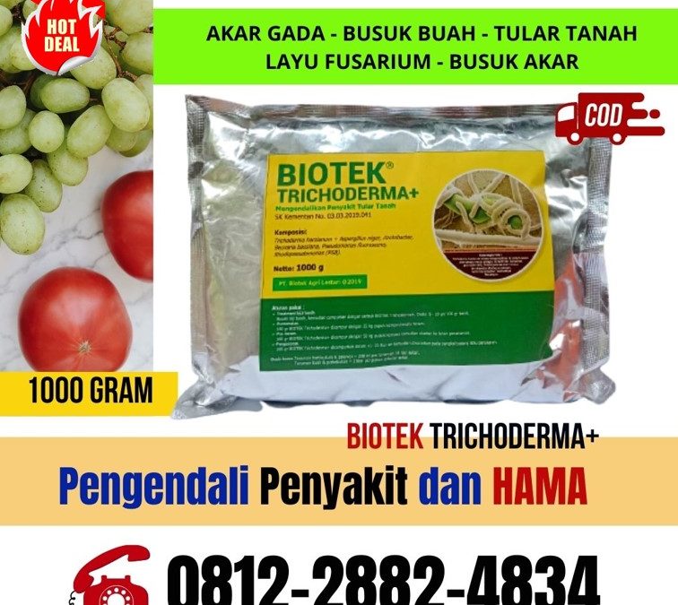 TERLARIS! 0812-2882-4834 Agen Obat Fungisida Batusangkar, Harga Obat Fungisida Untuk Cabe Padang Pariaman, Grosir Obat Fungisida Padi Kota Padang