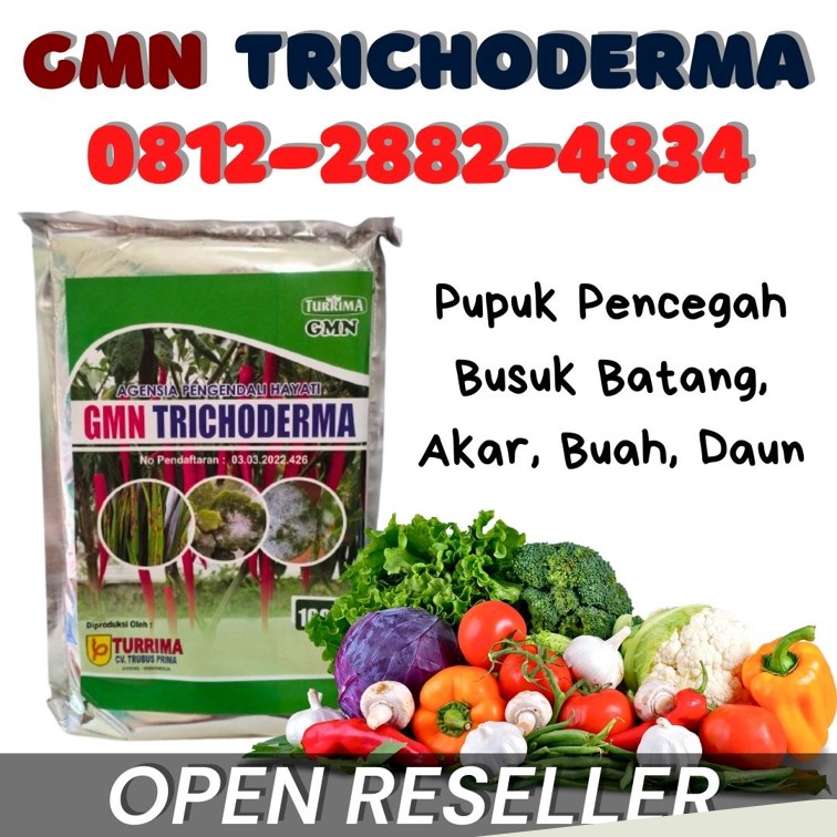 Agen Trichoderma 1kg Lampung Selatan, Harga Trichoderma Untuk Fusarium Kalianda, Grosir Trichoderma Harzianum Lampung Tengah, Jual Trichoderma Untuk Cabe Gunung Sugih, Supplier Trichoderma Untuk Tanaman Lampung Utara, Suplier Trichoderma Untuk Bawang Merah Kotabumi, Pusat Trichoderma Lampung Barat, Distributor Trichoderma Untuk Kelapa Sawit Liwa, Produsen Trichoderma Untuk Padi Tulang Bawang, Pabrik Trichoderma Untuk Penyakit Menggala