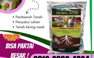 SUBUR! 0812-2882-4834, Distributor Asam Humat Acid Kanigoro, Produsen Asam Humat Untuk Anggur Bojonegoro, Pabrik Asam Humat Humic Acid Bondowoso
