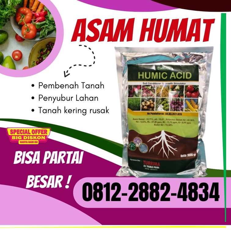 Distributor Asam Humat Acid Kanigoro, Produsen Asam Humat Untuk Anggur Bojonegoro, Pabrik Asam Humat Humic Acid Bondowoso, Agen Asam Humat Untuk Bawang Merah Gresik, Harga Asam Humat Untuk Cabe Jember, Grosir Asam Humat Untuk Jagung Jombang, Jual Asam Humat 25 Kg Kediri, Supplier Asam Humat Organik Kota Blitar, Suplier Asam Humat Pembenah Tanah Kota Madiun, Pusat Asam Humat Pertanian Kota Malang