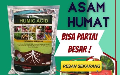 TERBARU! 0812-2882-4834, Distributor Asam Humat Pupuk Kota Mojokerto, Produsen Asam Humat Terbaik Kota Surabaya, Supplier Asam Humat Surabaya