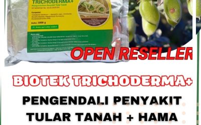 SUBUR! 0812-2882-4834 Distributor Fungisida Cabai Solok, Produsen Fungisida Hayati Arosuka, Pabrik Fungisida Jagung Sijunjung