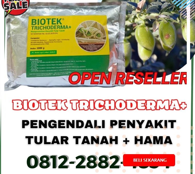 SUBUR! 0812-2882-4834 Distributor Fungisida Cabai Solok, Produsen Fungisida Hayati Arosuka, Pabrik Fungisida Jagung Sijunjung
