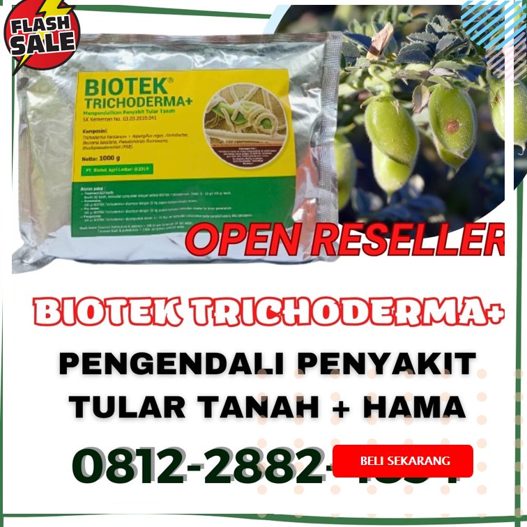 Distributor Fungisida Cabai Solok, Produsen Fungisida Hayati Arosuka, Pabrik Fungisida Jagung Sijunjung, Agen Obat Fungisida Batusangkar, Harga Obat Fungisida Untuk Cabe Padang Pariaman, Grosir Obat Fungisida Padi Kota Padang, Jual Pupuk Fungisida Kota Solok, Supplier Fungisida Terbaik Kota Sawahlunto, Suplier Fungisida Alami Kota Padangpanjang, Pusat Fungisida Organik Kota Bukittinggi