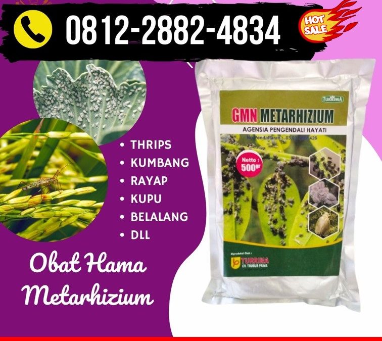 SUBUR! 0812-2882-4834 Distributor Obat Hama Wereng Jetis, Produsen Metarhizium Hayati Kotagede, Pabrik Obat Hama Padi Sundep Kraton