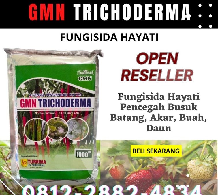 SUBUR! 0812-2882-4834 Distributor Trichoderma Harzianum Painan, Produsen Trichoderma Untuk Cabe Solok, Pabrik Trichoderma Untuk Tanaman Arosuka