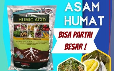 ORI! 0812-2882-4834, Grosir Asam Humat Untuk Jagung Jombang, Jual Asam Humat 25 Kg Kediri, Supplier Asam Humat Organik Kota Blitar