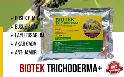 ORI! 0812-2882-4834 Grosir Obat Fungisida Padi Kota Padang, Jual Pupuk Fungisida Kota Solok, Supplier Fungisida Terbaik Kota Sawahlunto