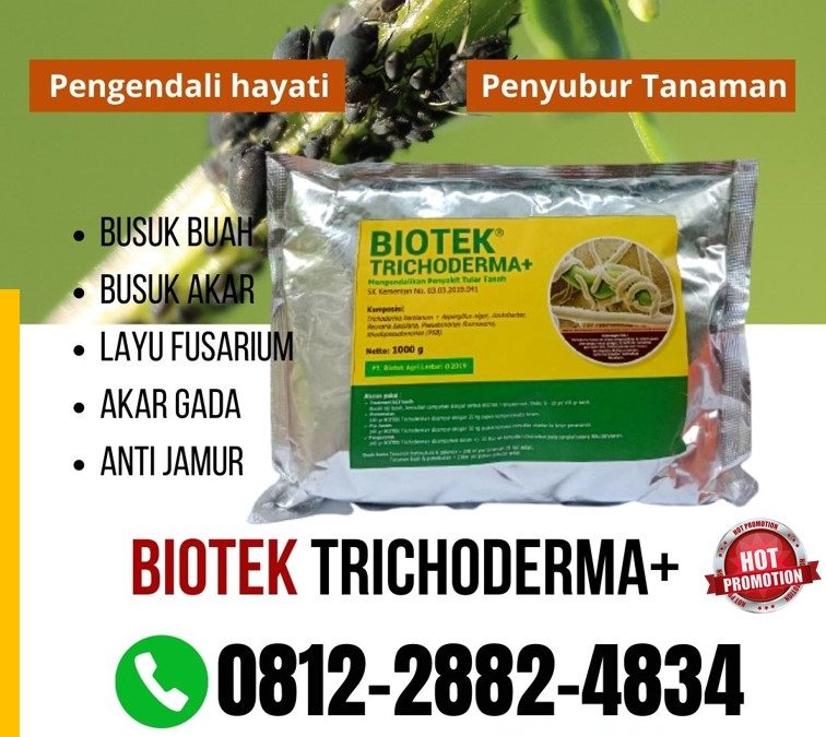 ORI! 0812-2882-4834 Grosir Obat Fungisida Padi Kota Padang, Jual Pupuk Fungisida Kota Solok, Supplier Fungisida Terbaik Kota Sawahlunto