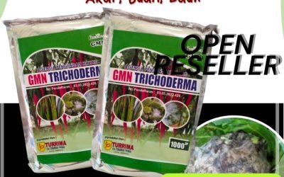 TERBUKTI! 0812-2882-4834 Grosir Trichoderma Harzianum Lampung Tengah, Jual Trichoderma Untuk Cabe Gunung Sugih, Supplier Trichoderma Untuk Tanaman Lampung Utara