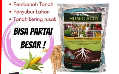 BISA COD! 0812-2882-4834, Harga Asam Humat Untuk Cabe Jember, Grosir Asam Humat Untuk Jagung Jombang, Jual Asam Humat 25 Kg Kediri