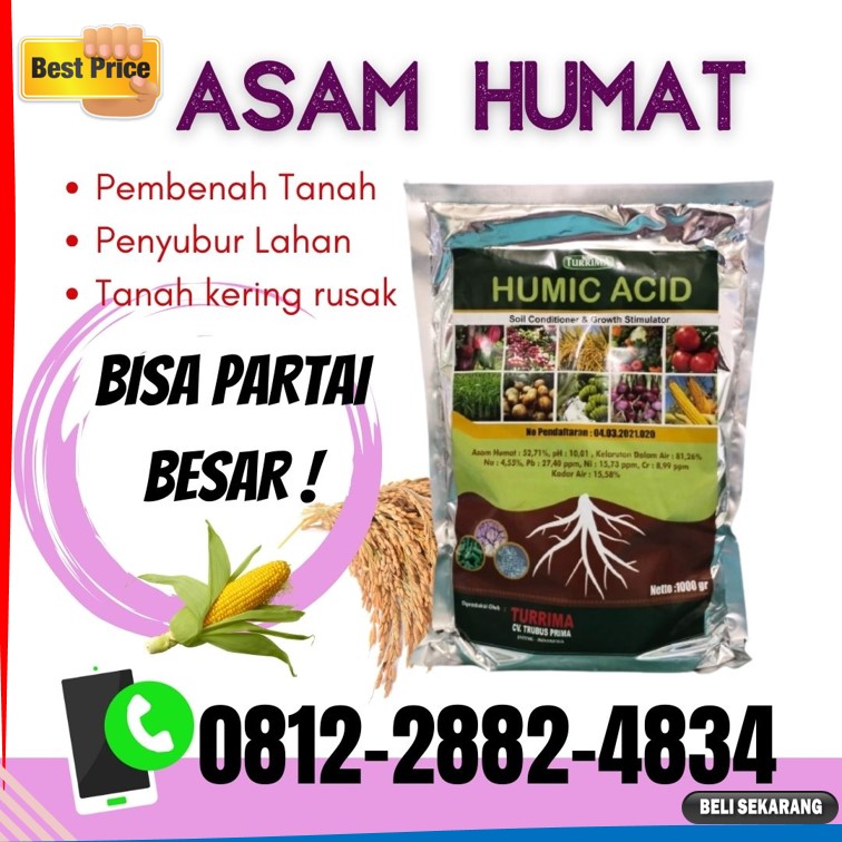 Harga Asam Humat Untuk Cabe Jember, Grosir Asam Humat Untuk Jagung Jombang, Jual Asam Humat 25 Kg Kediri, Supplier Asam Humat Organik Kota Blitar, Suplier Asam Humat Pembenah Tanah Kota Madiun, Pusat Asam Humat Pertanian Kota Malang, Distributor Asam Humat Pupuk Kota Mojokerto, Produsen Asam Humat Terbaik Kota Surabaya, Supplier Asam Humat Surabaya, Suplier Pupuk Asam Humat Bangkalan