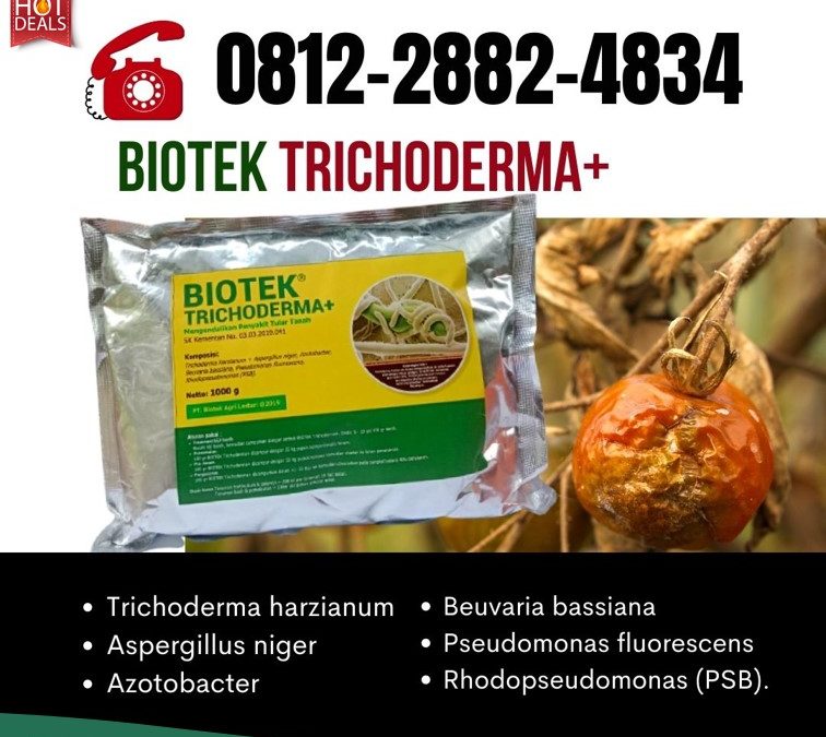 BISA COD! 0812-2882-4834 Harga Obat Fungisida Untuk Cabe Padang Pariaman, Grosir Obat Fungisida Padi Kota Padang, Jual Pupuk Fungisida Kota Solok