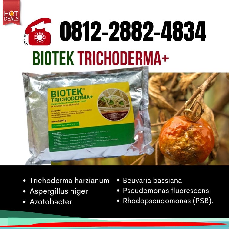 Harga Obat Fungisida Untuk Cabe Padang Pariaman, Grosir Obat Fungisida Padi Kota Padang, Jual Pupuk Fungisida Kota Solok, Supplier Fungisida Terbaik Kota Sawahlunto, Suplier Fungisida Alami Kota Padangpanjang, Pusat Fungisida Organik Kota Bukittinggi, Distributor Fungisida Cabai Kota Payakumbuh, Produsen Fungisida Fusarium Kota Pariaman, Supplier Fungisida Tricoderma Padang, Suplier Fungisida Trichoderma Pesisir Selatan