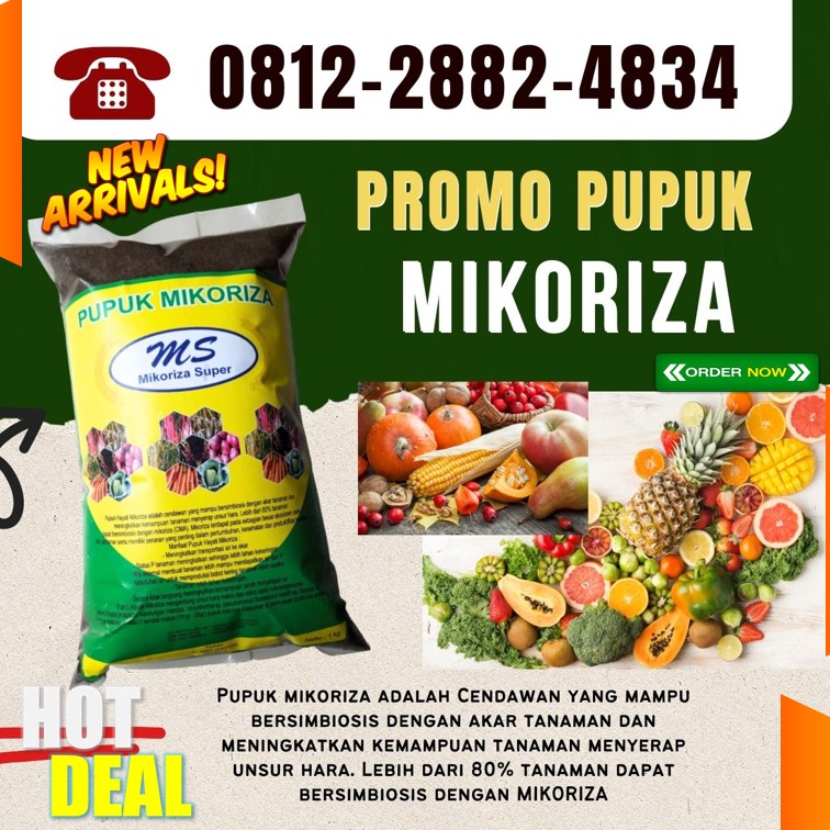 Distributor Pupuk Mikoriza Untuk Sawit Rejang Lebong, Produsen Pupuk Mikoriza Untuk Anggrek Curup, Pabrik Pupuk Hayati Mikoriza Bengkulu Utara, Agen Pupuk Hayati Mikoriza Plus Arga Makmur, Harga Pupuk Mikoriza Untuk Sawit Kaur, Grosir Pupuk Mikoriza Terbaik Bintuhan, Jual Pupuk Mikoriza Tanaman Seluma, Supplier Mikoriza Untuk Cabe Tais, Suplier Mikoriza Untuk Durian Mukomuko, Pusat Mikoriza Untuk Tanaman Padi Mukomuko
