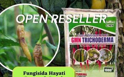 SUBUR! 0812-2882-4834 Harga Trichoderma Untuk Fusarium Kalianda, Grosir Trichoderma Harzianum Lampung Tengah, Jual Trichoderma Untuk Cabe Gunung Sugih