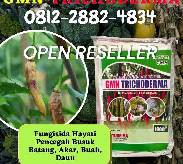 SUBUR! 0812-2882-4834 Harga Trichoderma Untuk Fusarium Kalianda, Grosir Trichoderma Harzianum Lampung Tengah, Jual Trichoderma Untuk Cabe Gunung Sugih