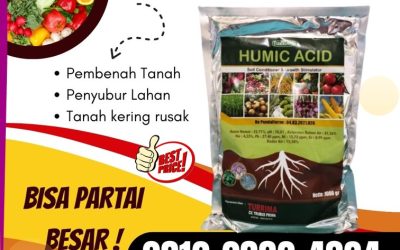 ASLI! 0812-2882-4834, Jual Asam Humat 25 Kg Kediri, Supplier Asam Humat Organik Kota Blitar, Suplier Asam Humat Pembenah Tanah Kota Madiun