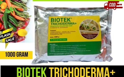 DISKON! 0812-2882-4834, Jual Pupuk Fungisida Trichoderma Bangkalan, Jual Pupuk Fungisida Trichoderma Banyuwangi, Jual Pupuk Fungisida Trichoderma Blitar