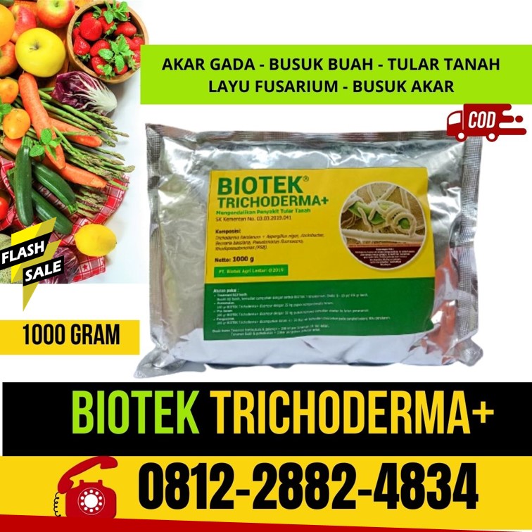 Jual Pupuk Fungisida Trichoderma Bangkalan, Jual Pupuk Fungisida Trichoderma Banyuwangi, Jual Pupuk Fungisida Trichoderma Blitar, Jual Pupuk Fungisida Trichoderma Kanigoro, Jual Pupuk Fungisida Trichoderma Bojonegoro, Jual Pupuk Fungisida Trichoderma Bondowoso, Jual Pupuk Fungisida Trichoderma Gresik, Jual Pupuk Fungisida Trichoderma Jember, Jual Pupuk Fungisida Trichoderma Jombang, Jual Pupuk Fungisida Trichoderma Surabaya