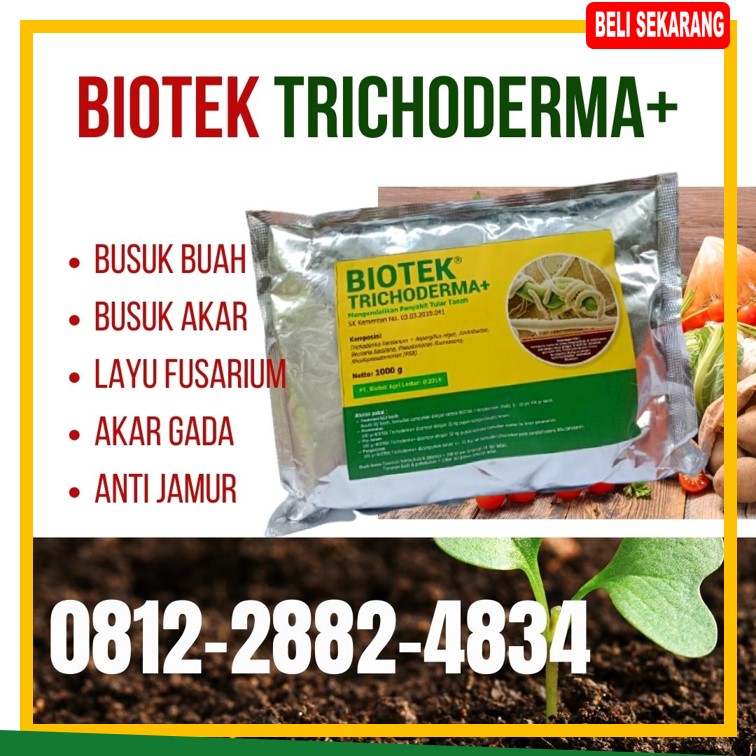 Jual Pupuk Fungisida Trichoderma Banyuwangi, Jual Pupuk Fungisida Trichoderma Blitar, Jual Pupuk Fungisida Trichoderma Kanigoro, Jual Pupuk Fungisida Trichoderma Bojonegoro, Jual Pupuk Fungisida Trichoderma Bondowoso, Jual Pupuk Fungisida Trichoderma Gresik, Jual Pupuk Fungisida Trichoderma Jember, Jual Pupuk Fungisida Trichoderma Jombang, Jual Pupuk Fungisida Trichoderma Surabaya, Jual Pupuk Fungisida Trichoderma Bangkalan