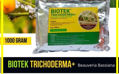 SUBUR! 0812-2882-4834, Jual Pupuk Fungisida Trichoderma Blitar, Jual Pupuk Fungisida Trichoderma Kanigoro, Jual Pupuk Fungisida Trichoderma Bojonegoro
