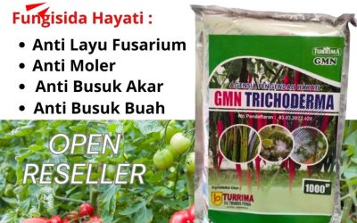 BISA PARTAI BESAR! 0812-2882-4834, Jual Pupuk Fungisida Trichoderma Bojonegoro, Jual Pupuk Fungisida Trichoderma Bondowoso, Jual Pupuk Fungisida Trichoderma Gresik
