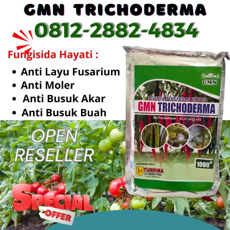 Jual Pupuk Fungisida Trichoderma Bojonegoro, Jual Pupuk Fungisida Trichoderma Bondowoso, Jual Pupuk Fungisida Trichoderma Gresik, Jual Pupuk Fungisida Trichoderma Jember, Jual Pupuk Fungisida Trichoderma Jombang, Jual Pupuk Fungisida Trichoderma Surabaya, Jual Pupuk Fungisida Trichoderma Bangkalan, Jual Pupuk Fungisida Trichoderma Banyuwangi, Jual Pupuk Fungisida Trichoderma Blitar, Jual Pupuk Fungisida Trichoderma Kanigoro