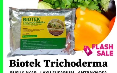 TERBUKTI! 0812-2882-4834, Jual Pupuk Fungisida Trichoderma Kanigoro, Jual Pupuk Fungisida Trichoderma Bojonegoro, Jual Pupuk Fungisida Trichoderma Bondowoso