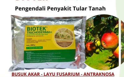 PROMO! 0812-2882-4834, Jual Pupuk Fungisida Trichoderma Surabaya, Jual Pupuk Fungisida Trichoderma Bangkalan, Jual Pupuk Fungisida Trichoderma Banyuwangi