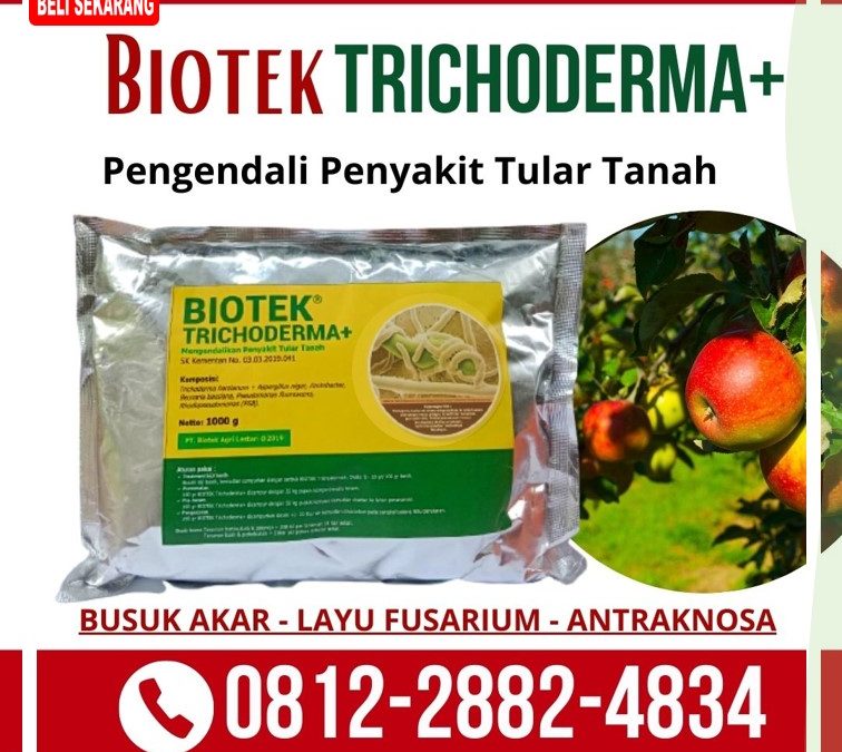 PROMO! 0812-2882-4834, Jual Pupuk Fungisida Trichoderma Surabaya, Jual Pupuk Fungisida Trichoderma Bangkalan, Jual Pupuk Fungisida Trichoderma Banyuwangi