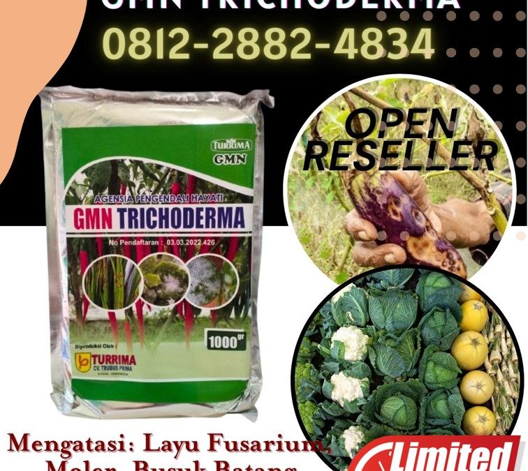 TERBAIK! 0812-2882-4834 Jual Trichoderma Untuk Cabe Gunung Sugih, Supplier Trichoderma Untuk Tanaman Lampung Utara, Suplier Trichoderma Untuk Bawang Merah Kotabumi