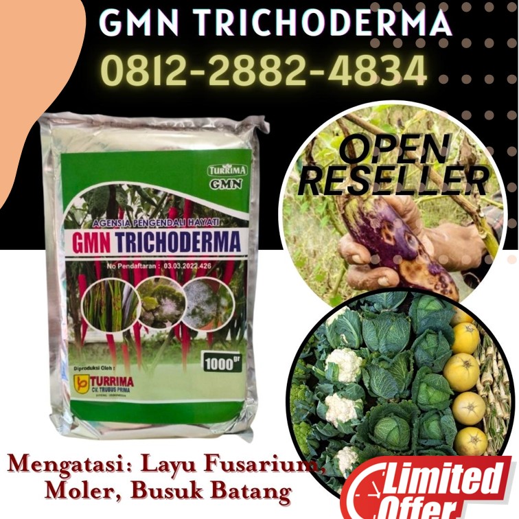 Jual Trichoderma Untuk Cabe Gunung Sugih, Supplier Trichoderma Untuk Tanaman Lampung Utara, Suplier Trichoderma Untuk Bawang Merah Kotabumi, Pusat Trichoderma Lampung Barat, Distributor Trichoderma Untuk Kelapa Sawit Liwa, Produsen Trichoderma Untuk Padi Tulang Bawang, Pabrik Trichoderma Untuk Penyakit Menggala, Agen Trichoderma Untuk Pertanian Tanggamus, Harga Trichoderma Untuk Tanah Kota Agung, Grosir Trichoderma Untuk Pisang Lampung Timur