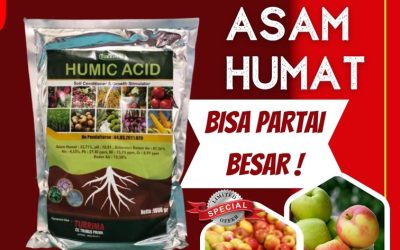 TERBAIK! 0812-2882-4834, Pabrik Asam Humat Humic Acid Bondowoso, Agen Asam Humat Untuk Bawang Merah Gresik, Harga Asam Humat Untuk Cabe Jember