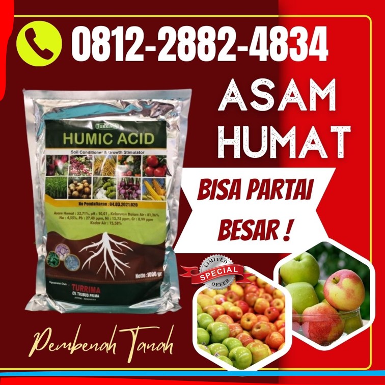 Pabrik Asam Humat Humic Acid Bondowoso, Agen Asam Humat Untuk Bawang Merah Gresik, Harga Asam Humat Untuk Cabe Jember, Grosir Asam Humat Untuk Jagung Jombang, Jual Asam Humat 25 Kg Kediri, Supplier Asam Humat Organik Kota Blitar, Suplier Asam Humat Pembenah Tanah Kota Madiun, Pusat Asam Humat Pertanian Kota Malang, Distributor Asam Humat Pupuk Kota Mojokerto, Produsen Asam Humat Terbaik Kota Surabaya