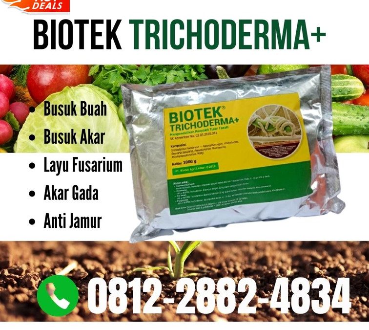 TERBAIK! 0812-2882-4834 Pabrik Fungisida Jagung Sijunjung, Agen Obat Fungisida Batusangkar, Harga Obat Fungisida Untuk Cabe Padang Pariaman