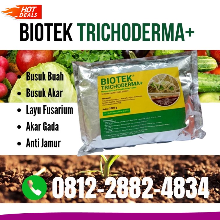 Pabrik Fungisida Jagung Sijunjung, Agen Obat Fungisida Batusangkar, Harga Obat Fungisida Untuk Cabe Padang Pariaman, Grosir Obat Fungisida Padi Kota Padang, Jual Pupuk Fungisida Kota Solok, Supplier Fungisida Terbaik Kota Sawahlunto, Suplier Fungisida Alami Kota Padangpanjang, Pusat Fungisida Organik Kota Bukittinggi, Distributor Fungisida Cabai Kota Payakumbuh, Produsen Fungisida Fusarium Kota Pariaman