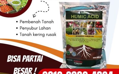 PROMO! 0812-2882-4834, Produsen Asam Humat Terbaik Kota Surabaya, Supplier Asam Humat Surabaya, Suplier Pupuk Asam Humat Bangkalan