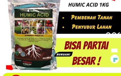 TERBUKTI! 0812-2882-4834, Produsen Asam Humat Untuk Anggur Bojonegoro, Pabrik Asam Humat Humic Acid Bondowoso, Agen Asam Humat Untuk Bawang Merah Gresik