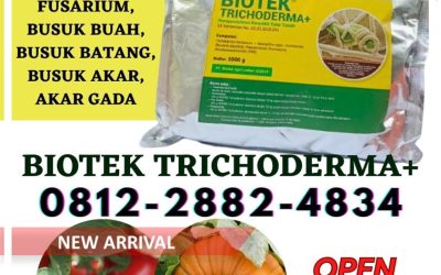 TERBUKTI! 0812-2882-4834 Produsen Fungisida Hayati Arosuka, Pabrik Fungisida Jagung Sijunjung, Agen Obat Fungisida Batusangkar