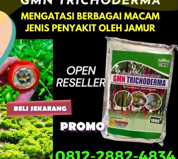 TERLARIS! 0812-2882-4834 Produsen Trichoderma Untuk Cabe Aceh Barat Daya, Pabrik Trichoderma Untuk Tanaman Blangpidie, Agen Trichoderma Untuk Bawang Merah Aceh Besar