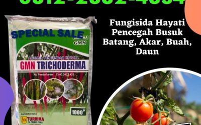 DISKON! 0812-2882-4834 Pabrik Agen Hayati Trichoderma Lampung, Agen Trichoderma 1kg Lampung Selatan, Harga Trichoderma Untuk Fusarium Kalianda