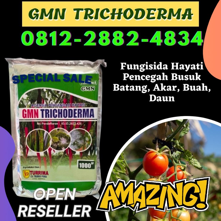 Pabrik Agen Hayati Trichoderma Lampung, Agen Trichoderma 1kg Lampung Selatan, Harga Trichoderma Untuk Fusarium Kalianda, Grosir Trichoderma Harzianum Lampung Tengah, Jual Trichoderma Untuk Cabe Gunung Sugih, Supplier Trichoderma Untuk Tanaman Lampung Utara, Suplier Trichoderma Untuk Bawang Merah Kotabumi, Pusat Trichoderma Lampung Barat, Distributor Trichoderma Untuk Kelapa Sawit Liwa, Produsen Trichoderma Untuk Padi Tulang Bawang