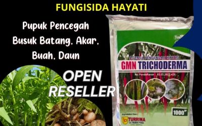 TERBUKTI! 0812-2882-4834 Produsen Trichoderma Untuk Cabe Solok, Pabrik Trichoderma Untuk Tanaman Arosuka, Agen Trichoderma Untuk Bawang Merah Sijunjung