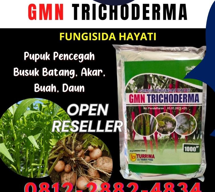 TERBUKTI! 0812-2882-4834 Produsen Trichoderma Untuk Cabe Solok, Pabrik Trichoderma Untuk Tanaman Arosuka, Agen Trichoderma Untuk Bawang Merah Sijunjung