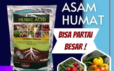 AMPUH! 0812-2882-4834, Pusat Asam Humat Ah-90 Banyuwangi, Distributor Asam Humat Acid Kanigoro, Produsen Asam Humat Untuk Anggur Bojonegoro
