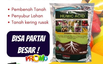 ORGANIK! 0812-2882-4834, Pusat Asam Humat Pertanian Kota Malang, Distributor Asam Humat Pupuk Kota Mojokerto, Produsen Asam Humat Terbaik Kota Surabaya