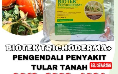 AMPUH! 0812-2882-4834 Pusat Fungisida Hayati Trichoderma Painan, Distributor Fungisida Cabai Solok, Produsen Fungisida Hayati Arosuka