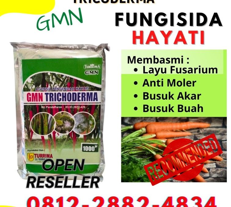 AMPUH! 0812-2882-4834 Pusat Trichoderma Untuk Fusarium Pesisir Selatan, Distributor Trichoderma Harzianum Painan, Produsen Trichoderma Untuk Cabe Solok